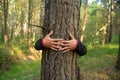 Woman hugging a big tree in a park. Royalty Free Stock Photo