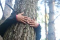 Woman hugging a big tree in a park. Royalty Free Stock Photo