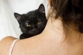 Woman hugging cute scared black cat, adoption concept. Kitty face closeup. Adorable black kitten with yellow eyes on female Royalty Free Stock Photo