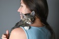 Woman hugging her kitten. Striped kitten lies on on the shoulder of a woman on gray background.