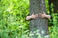 Woman hugging a tree trunk in a forest Royalty Free Stock Photo