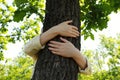 Woman hugging tree trunk in forest on sunny day Royalty Free Stock Photo