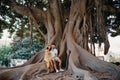 A woman hugs with her boyfriend on a root of an old Valencian Ficus Macrophylla Royalty Free Stock Photo