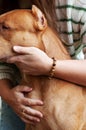 woman hugs her red pit bull dog