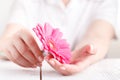 Woman hygiene conception. Pink flower gerbera in female hands