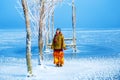 Woman on ice lake in beautiful ethno dress and beautiful frozen trees.