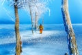 Woman on ice lake in beautiful ethno dress and beautiful frozen trees.