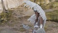 Woman in image of warlike Valkyrie with wings holding weapon and shield