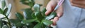 Woman injecting fertilizer in plant