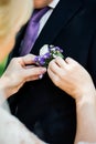 Woman inserting the boutonniere in buttonhole man in suit Royalty Free Stock Photo