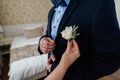 Woman inserting the boutonniere in buttonhole of man in suit Royalty Free Stock Photo