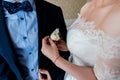 Woman inserting the boutonniere in buttonhole of man in suit Royalty Free Stock Photo