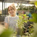 Woman Inside Greenhouse In Garden Centre Choosing And Buying Red Echinacea Plant Royalty Free Stock Photo