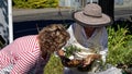 A woman inspecting a bonzai tree for sale on a Motueka market stall, New Zealand