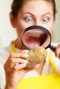 Woman inspecting potato with magnifying glass. Royalty Free Stock Photo