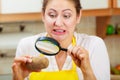 Woman inspecting potato with magnifying glass. Royalty Free Stock Photo