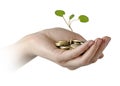 Investing money in environment