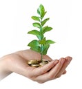 investing money in environment Royalty Free Stock Photo