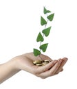 investing money in environment