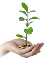 investing money in environment Royalty Free Stock Photo