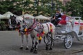 Woman inviting to take tour on horse-drawn carriage.