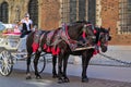 Woman inviting to take tour on horse-drawn carriage.