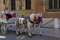 Woman inviting to take tour on horse-drawn carriage.