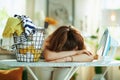 Woman with iron, clothes basket at modern home in sunny day Royalty Free Stock Photo