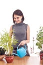 Woman irrigate plants