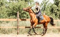 Woman jockey training riding horse. Sport activity Royalty Free Stock Photo
