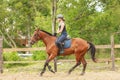 Woman jockey training riding horse. Sport activity Royalty Free Stock Photo