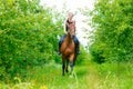 Woman jockey training riding horse. Sport activity Royalty Free Stock Photo