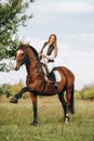 A woman jockey trains her horse to follow commands. The horse raises its leg at the command of the rider. Royalty Free Stock Photo