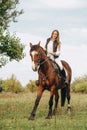 A woman jockey trains her horse to follow commands. The horse raises its leg at the command of the rider. Royalty Free Stock Photo