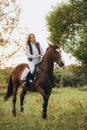 A woman jockey trains her horse to follow commands. The horse raises its leg at the command of the rider. Royalty Free Stock Photo