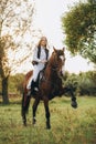 A woman jockey trains her horse to follow commands. The horse raises its leg at the command of the rider. Royalty Free Stock Photo