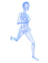 Woman - jogger Royalty Free Stock Photo