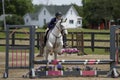 Woman jumps oxer on Arabian Cross Royalty Free Stock Photo