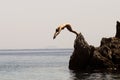 Woman jumps to the sea