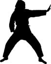 Woman in a Karate Stance