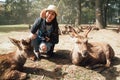 Woman kneeling down around resting deer Royalty Free Stock Photo