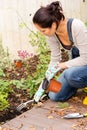 Woman kneeling planting flowerbed autumn garden