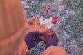 A woman in knitted gloves holds frozen leaves and red berries covered with ice from the first frost Royalty Free Stock Photo