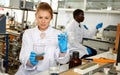 Woman lab technicians in glasses working with reagents and test tubes Royalty Free Stock Photo