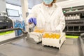 woman in laboratory doing tests for vaccine blood extraction and analytical