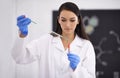 Woman, laboratory and science research with test tube or medical chemistry for breakthrough, particles or liquid. Female Royalty Free Stock Photo