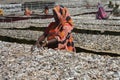 Dry fish village in Cox's Bazar, Bangladesh