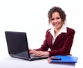 Woman with laptop Royalty Free Stock Photo