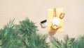 Woman with laptop, bag and headphones sitting on the beach towel and enjoying summer vacation under palm trees branches. Aerial vi