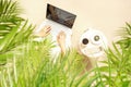 Woman with laptop drinking hot coffee with chocolate cake sitting under palm trees at table of beach summer outdoors cafe. Royalty Free Stock Photo